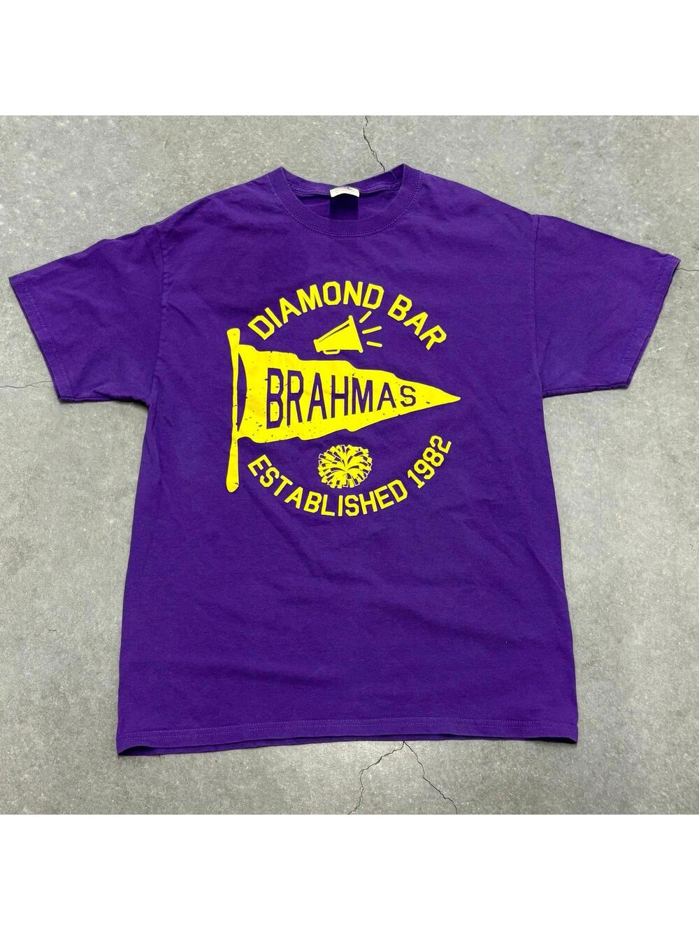 Fruit of the Loom Diamond Bar BRAHMAS T Shirt